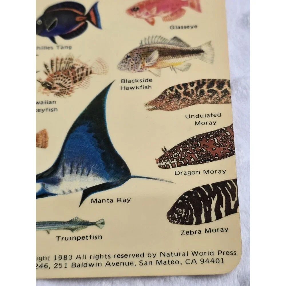 Vtg 1983 Guide to Hawaiian Reef Fish Plastic Card Natural World Press Ephemera
